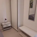 Maslina * Λομπάρδα