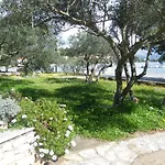 Maslina * Λομπάρδα