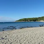 Maslina *