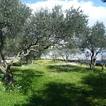 Maslina Διαμέρισμα Λομπάρδα