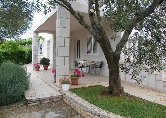 Maslina Apartment
