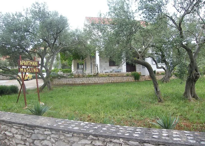 Maslina