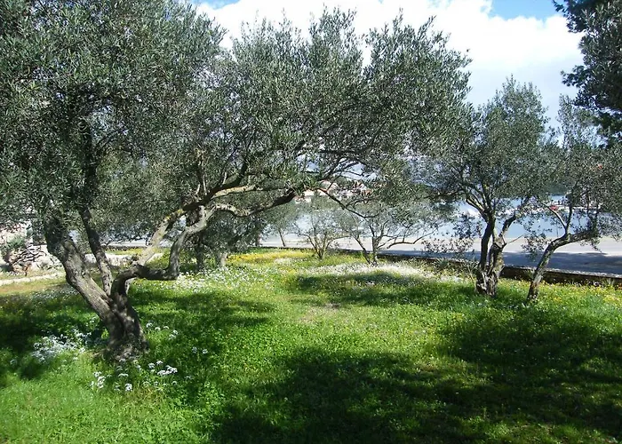 Maslina Apartment Lumbarda