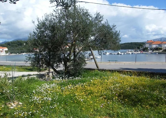 Apartment Maslina