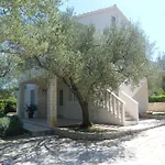 Maslina *