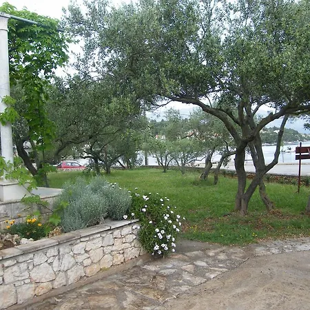 Maslina Apartman