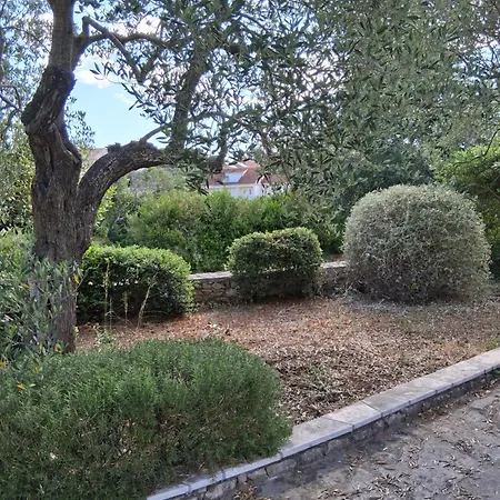 Maslina Apartament