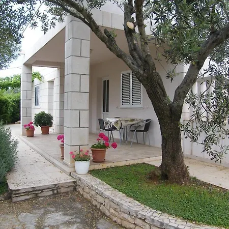 Maslina Apartment