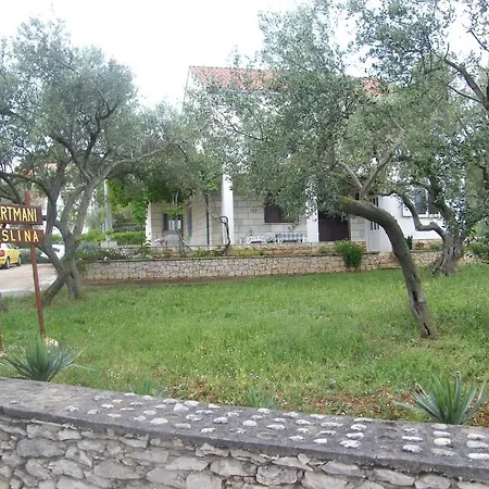 Maslina