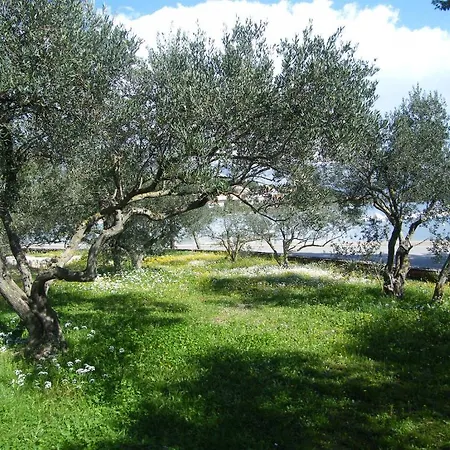 Maslina Apartament Lumbarda