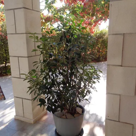 Maslina Apartman