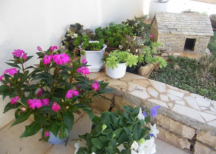 Apartamento Maslina *